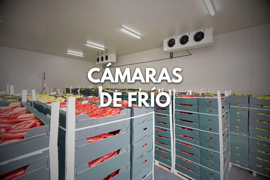 Cámaras de Frío